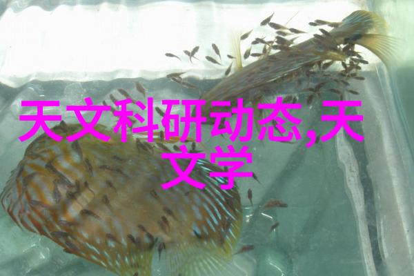 净水器水质检测标准保障饮用水安全的基石