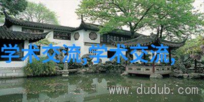 丸剂机械-探讨丸剂制造工艺及其相关机械设备