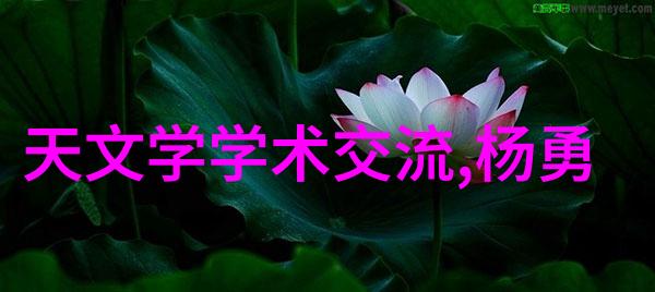轴流泵原理与应用概述理解旋转翼的水力动力学