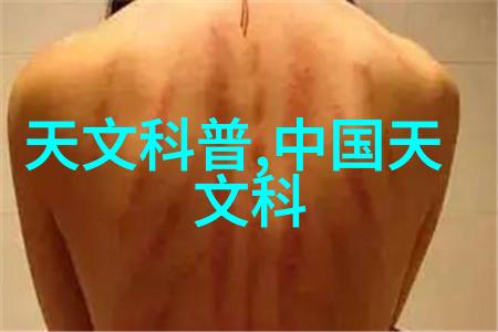 从晨光到暮色工作情况汇报的双面世界