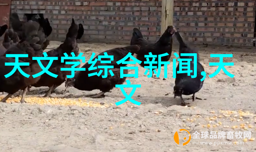 使用压力机是否有助于提高肌肉力量