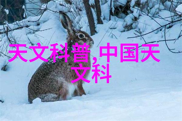 精细化学品安全管理体系建设防范风险保障生产