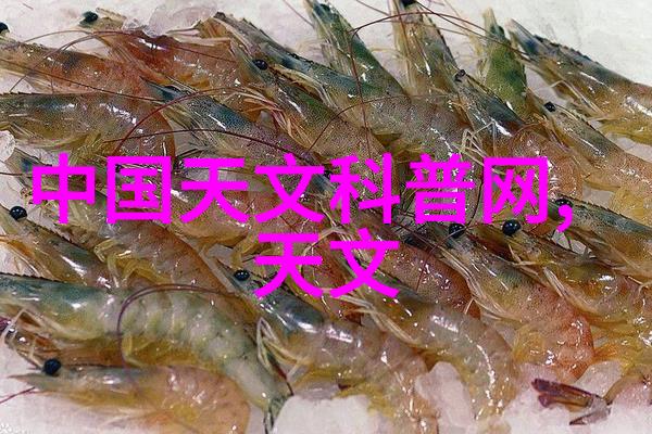 真人模仿声线技术探索极致音频体验