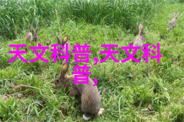 二三四五股票深度分析中国股市的前瞻与投资策略