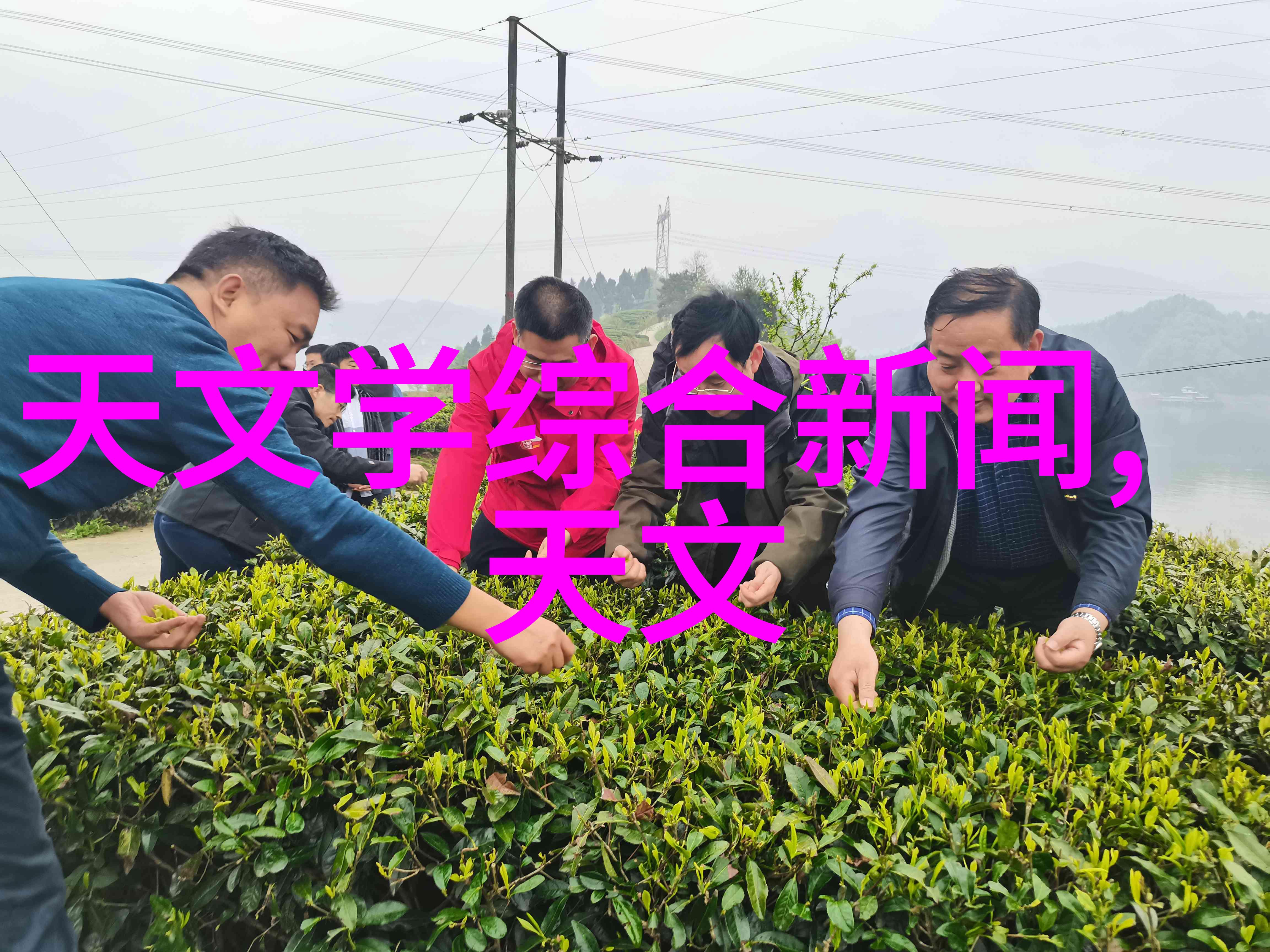 家居美学真实装修客厅图片欣赏