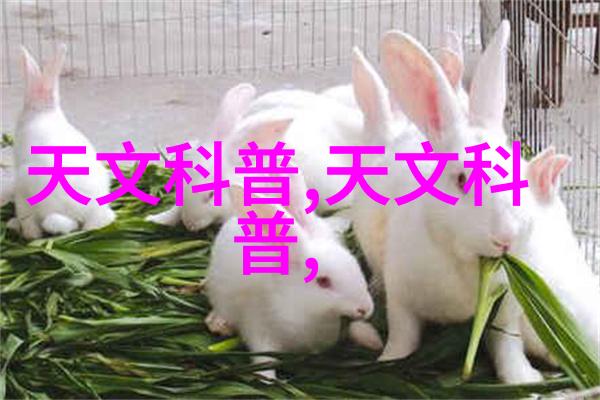 中国电网第一龙头股票电网行业领军企业的股票表现