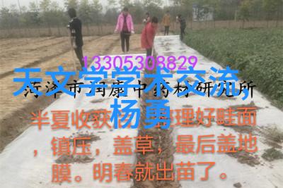板式蒸发器技术高效节能的蒸汽制冷设备