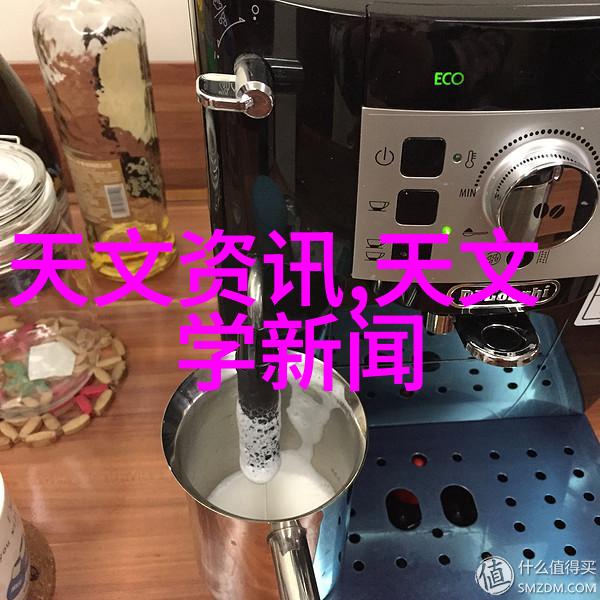 全球视野下的教育实践广西财经学院国际化战略探究