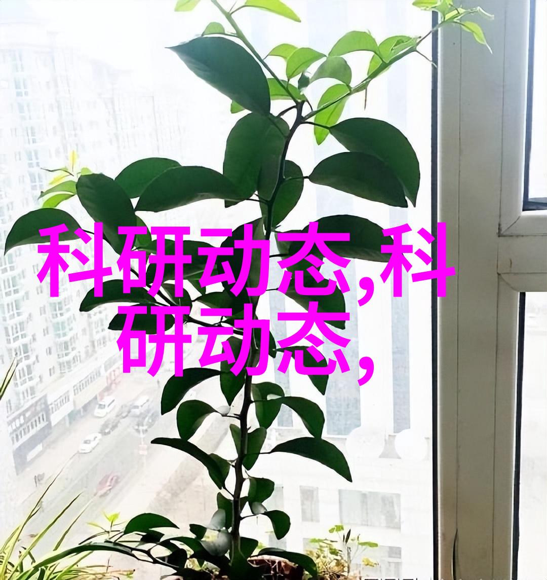 人寿保险全面保障生活质量