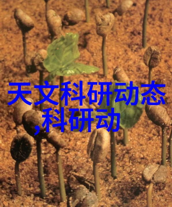 拼板胶老王的贴心小帮手
