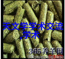 半导体革命集成电路芯片的无尽可能