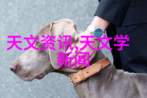 灭菌锅属于特种设备吗-探究灭菌锅的特种设备身份安全与合规