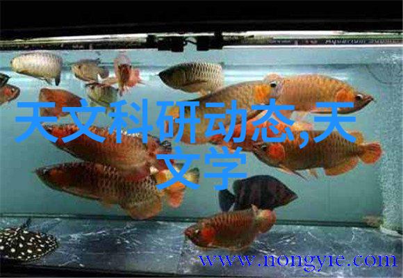 辊制砂机的1012个笑话从沙子到乐趣转了一圈又一圈