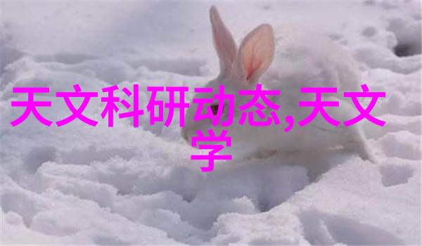沙石分离机砂石分离机您的得力助手