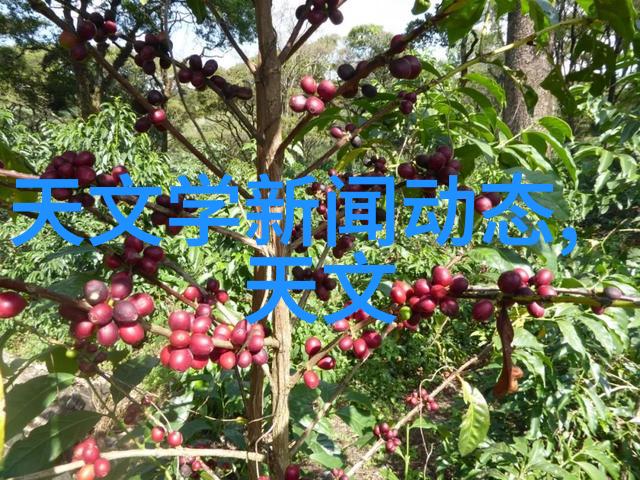 螺旋板冷凝器高效节能的热交换之心
