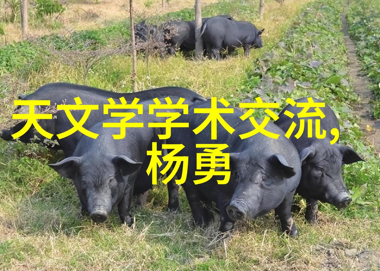 包衣机械的未来发展趋势是怎样的