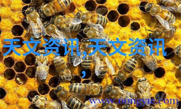 万东医疗投资策略是否适合长期持股探究