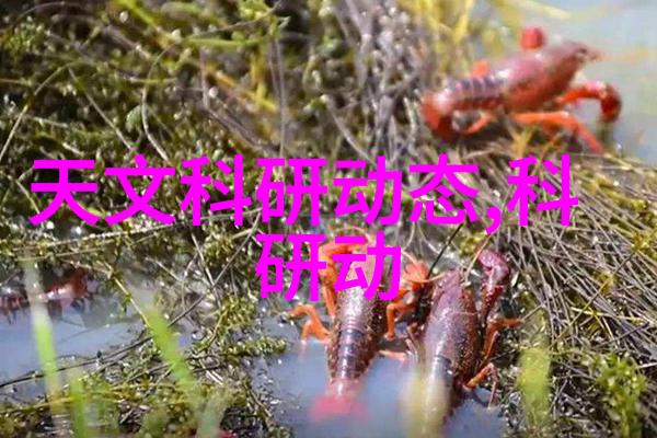 主题我来告诉你pe管件全新料生产厂家是怎么一回事