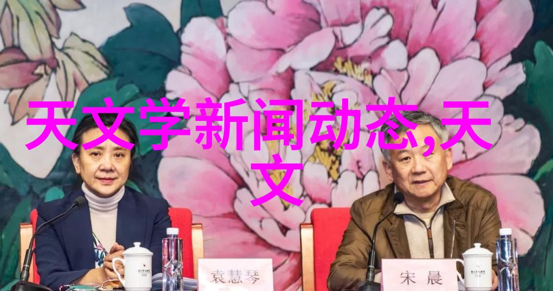 振动电机技术与应用驱动力学效率的现代创新