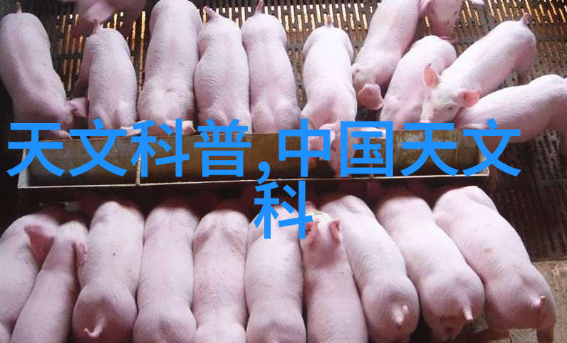 杭州美式风格居所浪漫优雅日常生活伴侣