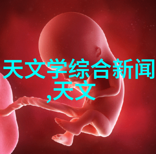 分选机型号 - 精准选择揭秘不同分选机型号的应用领域