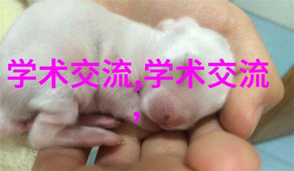 宁波城市职业技术学院培养未来技能型人才的摇篮
