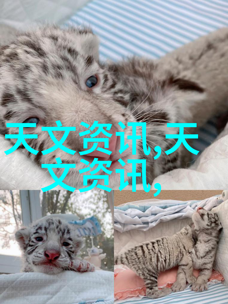 人物选择中式风格精装修时需注意的要点与成本分析
