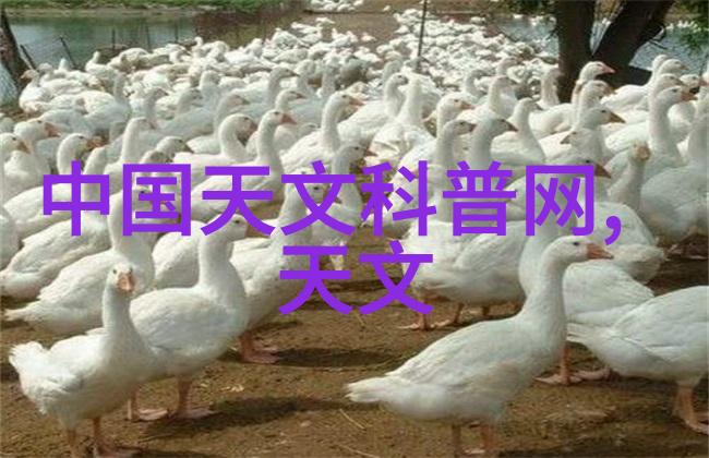 未来金融风向标分析全球各国央行主动调控利率的大战略