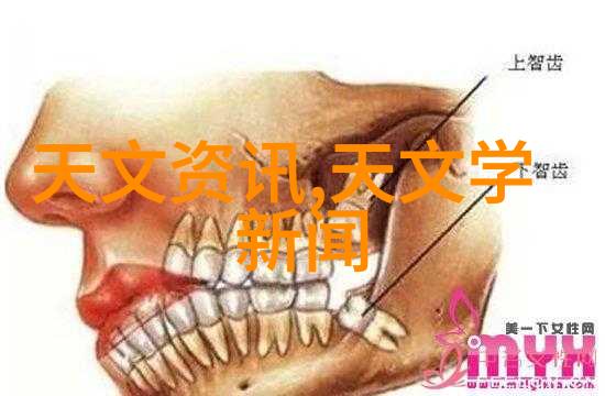 人才素养测评从智商到情商揭秘你的人品分数