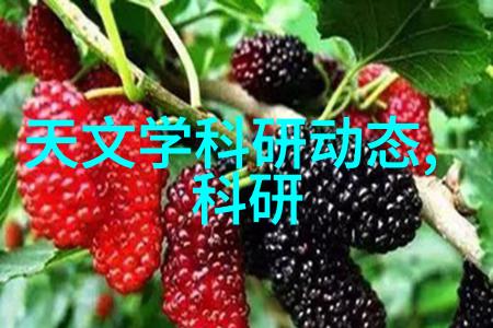 化工药品特殊要求下的高级包装解决方案