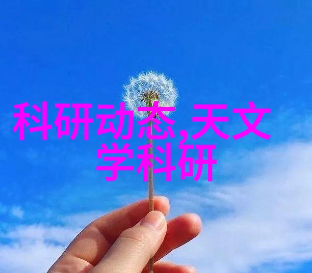 高效破碎机器提升轮胎回收的新纪元