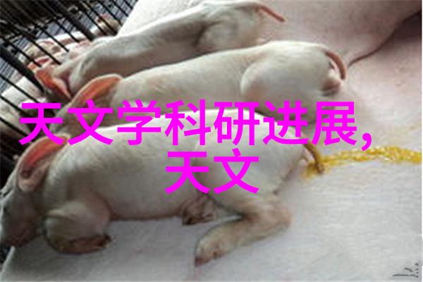 兔宝宝春日的小跳跃者