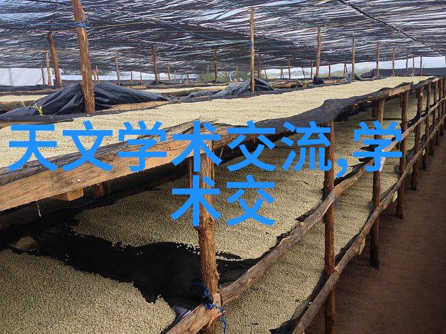 镜头下的自我探索个人写真与艺术照的区别在哪