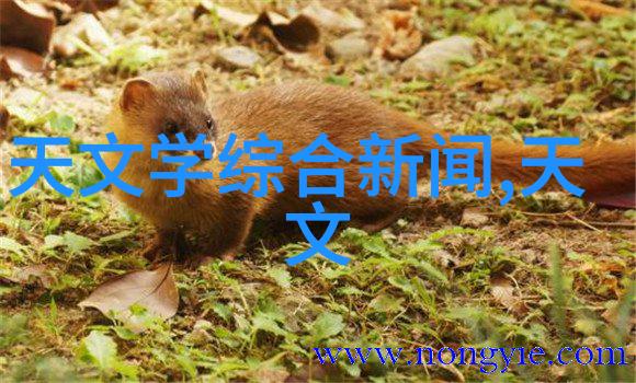 自动驾驶汽车中机器视觉技术的关键作用