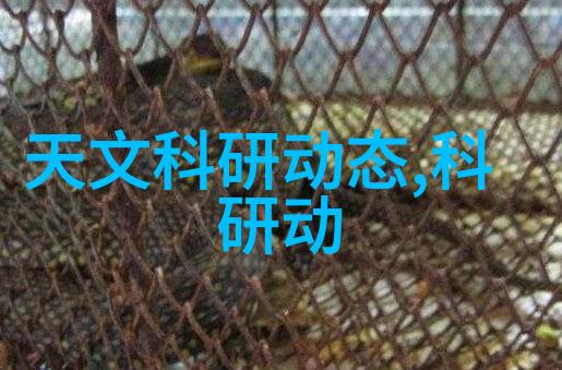池中物txt池塘里的小鱼儿