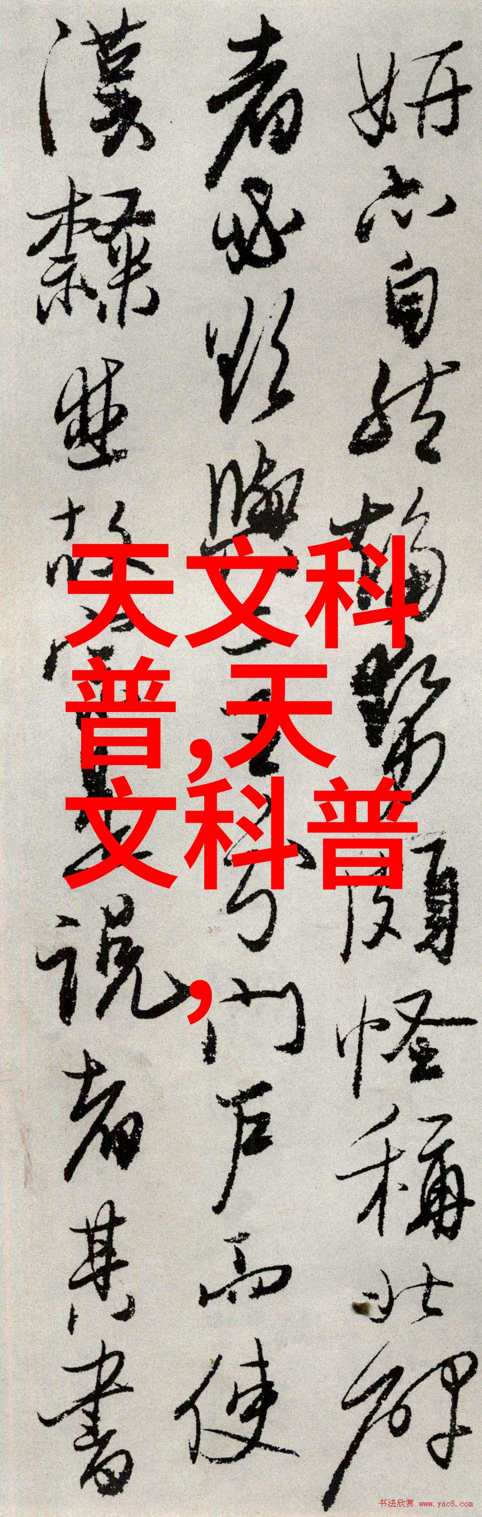 信息技术我的数字生活故事