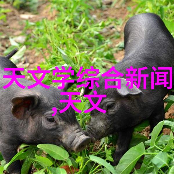 汽车配件网站我是如何在网上找到了理想的车载充电器的