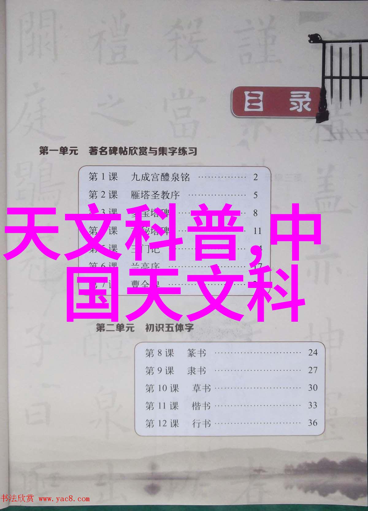 入梦序纷飞羽翼下的遥远避风港
