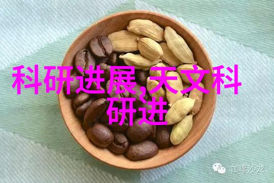 砂浆王之巅峰技艺建筑领域的卓越工匠