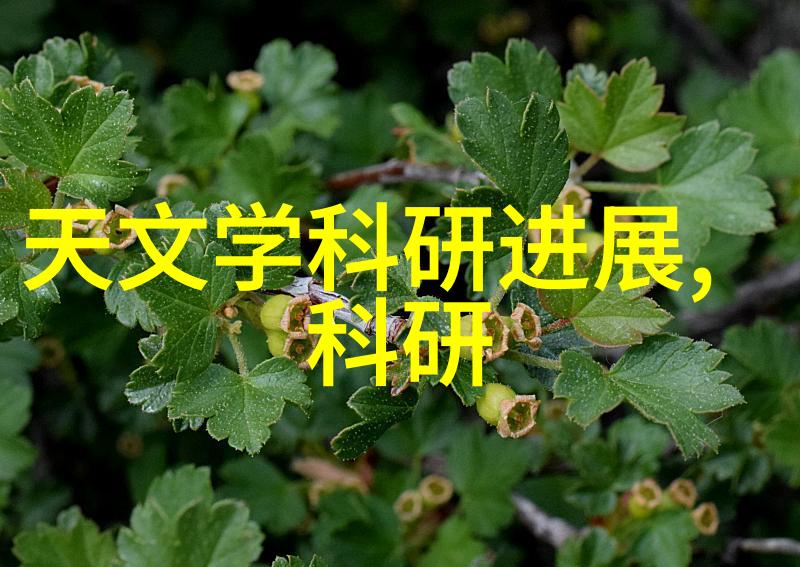 杨启绘卷杨启在红尘之旅中收集的珍贵瞬间