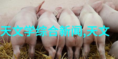 热带雨探索人性与自然的交响曲
