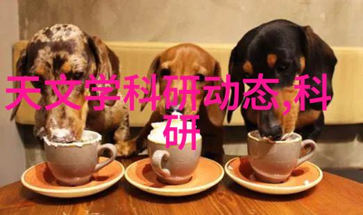 水多肉多的黄昏故事