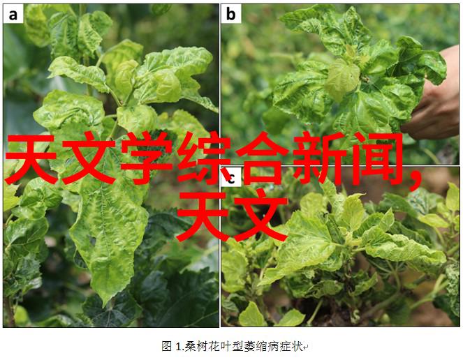 东富龙制药设备-精准制造守护健康东富龙制药设备的技术创新与行业影响力