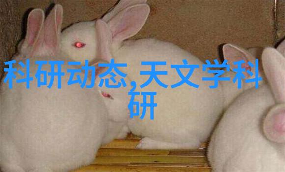 星际第一技师-银河帝国的无形之手星际第一技师的秘密与传奇