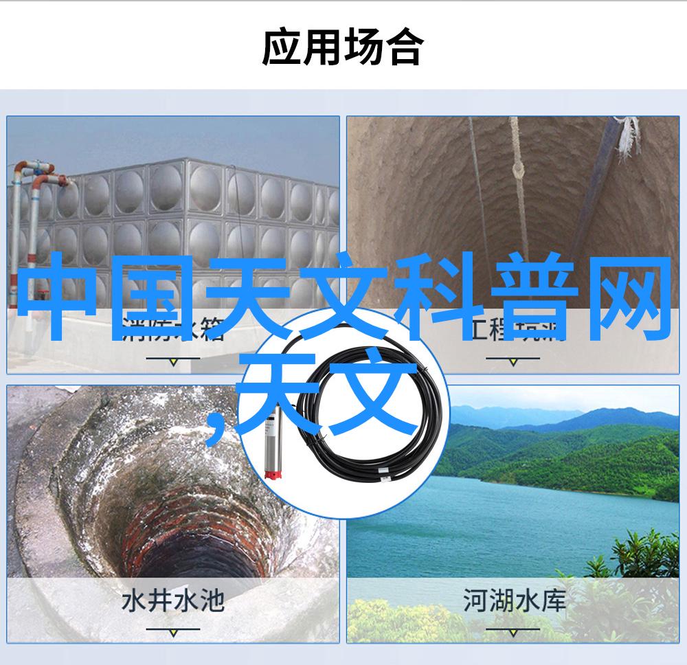 幻想之翼Toto的飞翔