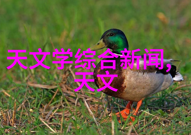 施工组织管理高效的建筑项目管理