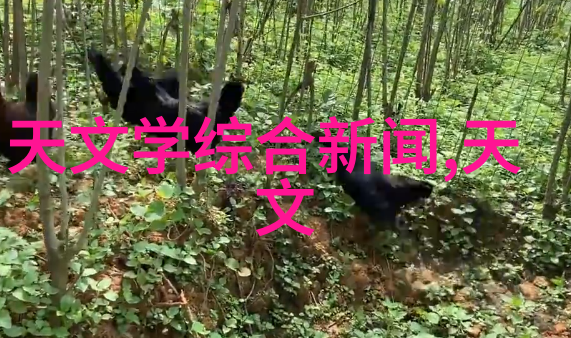 鱼水之谜揭秘测水质仪器的幽默故事
