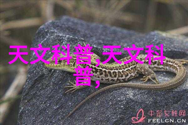 粉体输送设备精细流程的关键角色