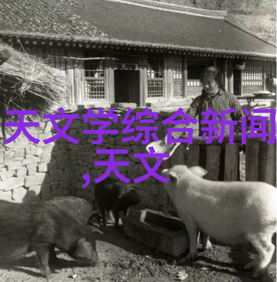 免费获取高效个人工作总结PPT模板提升绩效展示能力