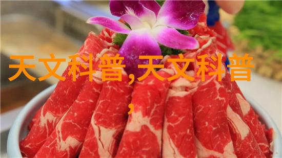 装修设计方案-精致居家创意装饰与实用功能的完美融合